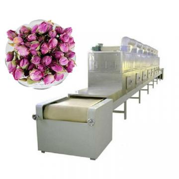 Fruits Processing Equipment / Conveyor Mesh Belt Dryer / Air Drying Machine