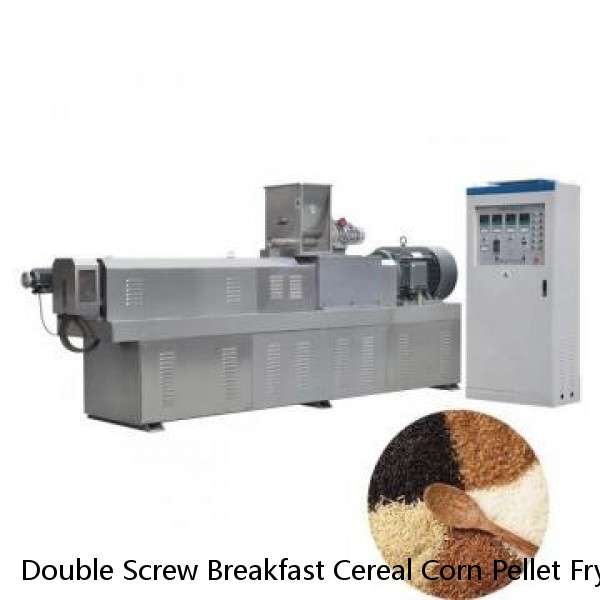 Double Screw Breakfast Cereal Corn Pellet Frying Choco Chips Pan Puff Snacks Cheese Ball Artificial Rice Soyabean Protein Bread Food Processing Making Machine