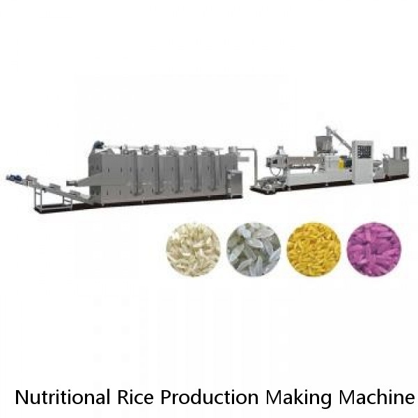 Nutritional Rice Production Making Machine Full Automatic Artificial Rice Making Machine Instant Rice Processing Line Nutritional Rice Production Line