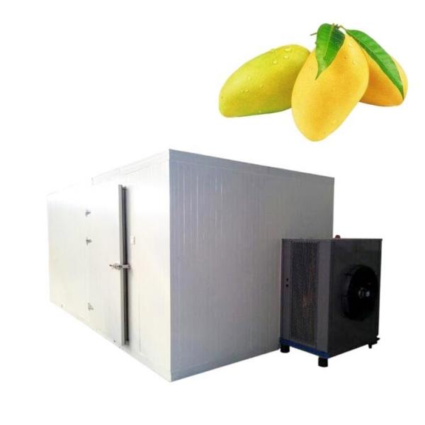 Dw Series Fruit/Herb Slice Belt Drying/Dryer/Drier Machine