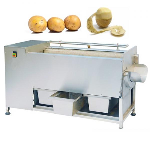 Industrial Automatic Taro Cassava Potato Washing Peeling Machine