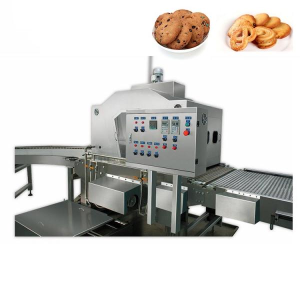 Cookies Wire Cutting Machine/Cookies Production Line