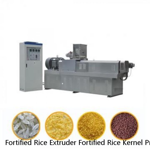 Fortified Rice Extruder Fortified Rice Kernel Production Line Artificial Rice Extruder Making Machine
